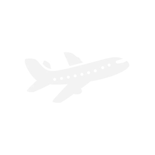 Air Passenger